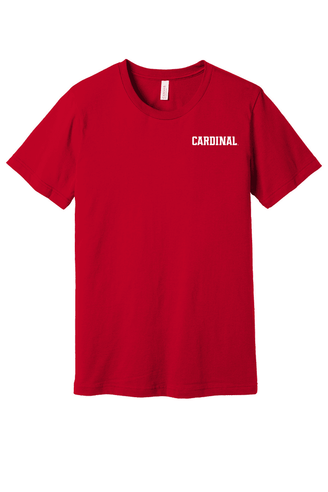 BELLA+CANVAS Unisex Jersey Short Sleeve Tee. BC3001
